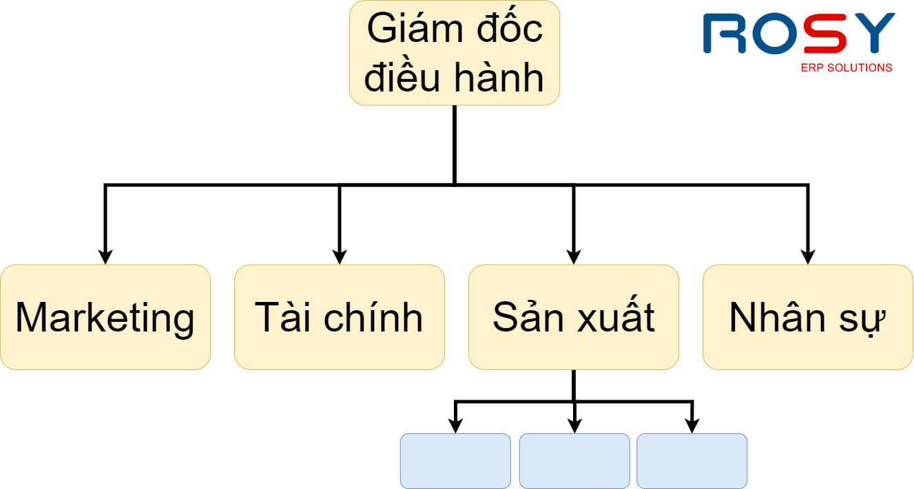 Mô hình tổ chức theo chức năng